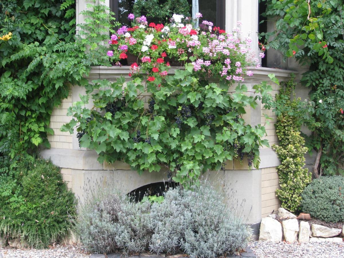 Alte Villa Ling Viersen Exteriör bild